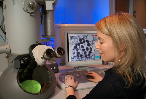 Le rôle des nanotechnologies dans l'innovation industrielle